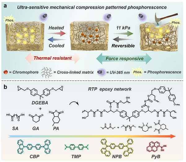 1764840744894008361.png 1.png