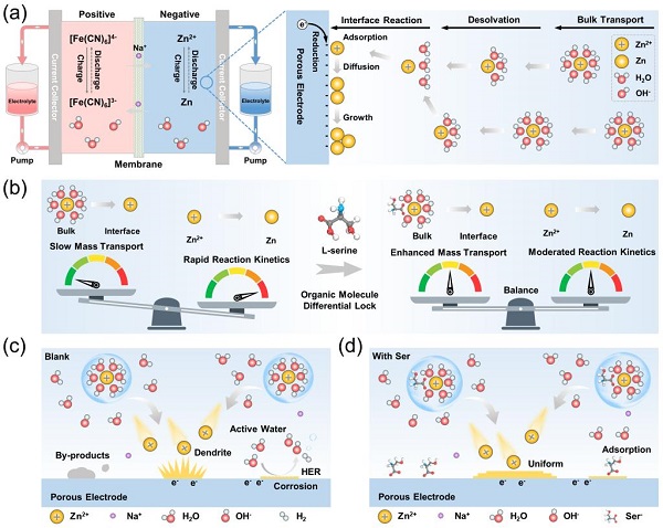 1767604203314076167.png 1.png