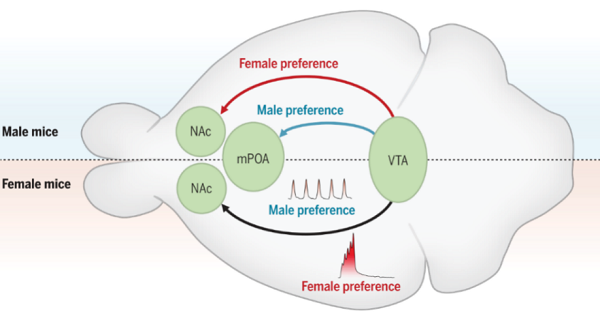 1767604582566098139.png 2.png