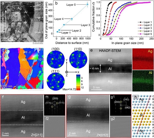 1767606856279091429.jpg 1.jpg