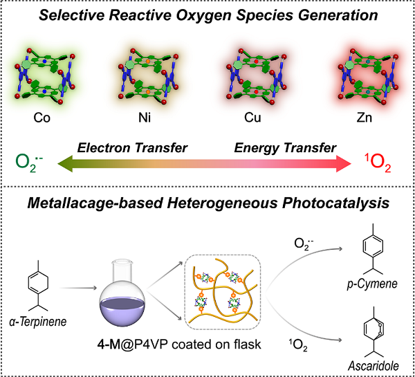 1768815247833041749.png 6.png