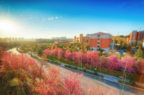 Yunnan University boasts profound background of disciplines, research