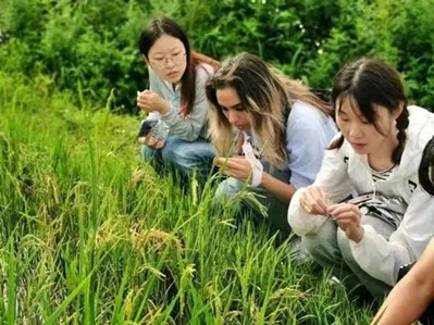 Chinese, intl students from Yunnan University practices in counties