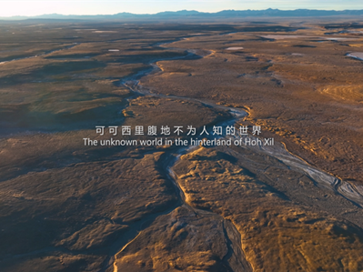 Documentary on Tibet's Hoh Xil region debuts in Kunming